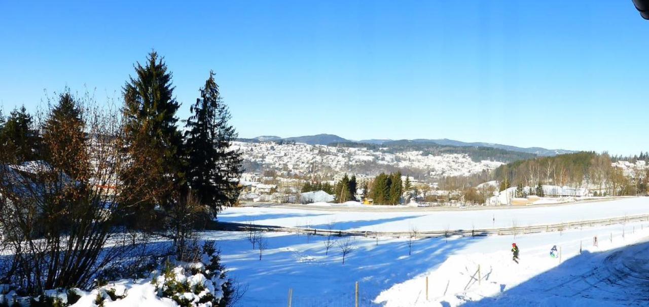 Wieshof Mein Ferienglueck Regen Exteriör bild